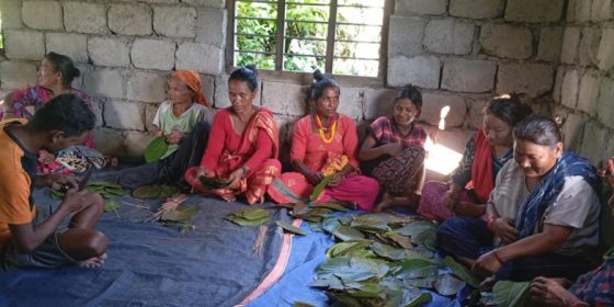 आर्थिक समृद्धितर्फ अघि बढ्न दुना टपरी उत्पादन गर्ने तालिम
