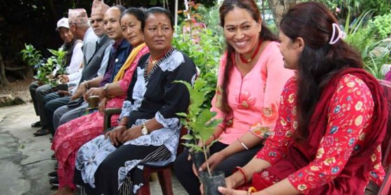चौताराले निःशुल्क बाँड्यो ४३ किसानलाई कफीका बिरुवा