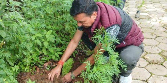 ठोकर्पामा मनाइयो वन दिवश, लगाइयो धुपी र कल्कीका विरुवा