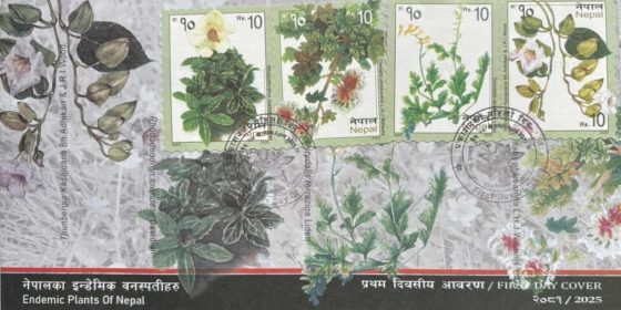 दुर्लभ वनस्पति ‘थुनबर्जिया कसजूआना’ डाक टिकटमा, यसरी पत्ता लगाएका थिए चौताराका कसजूले