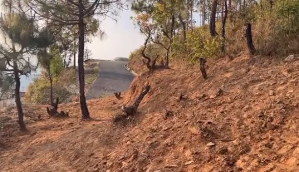 वन डढेलोको जोखिम रोक्न के गरिँदैछ सिन्धुपाल्चोकमा ?