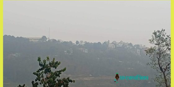 बढ्दो वायु प्रदूषण:सावधानी नपनाए लाग्नसक्छ यस्ता जटिल रोग