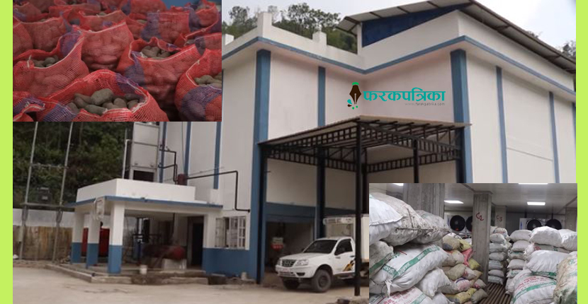 कुविण्डेमा शीतभण्डार : अब आलुले राम्रो मूल्य पाउने, बिऊ पनि नकुहिने