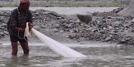 बिलाउँदै माछा-हराउँदै पेसा