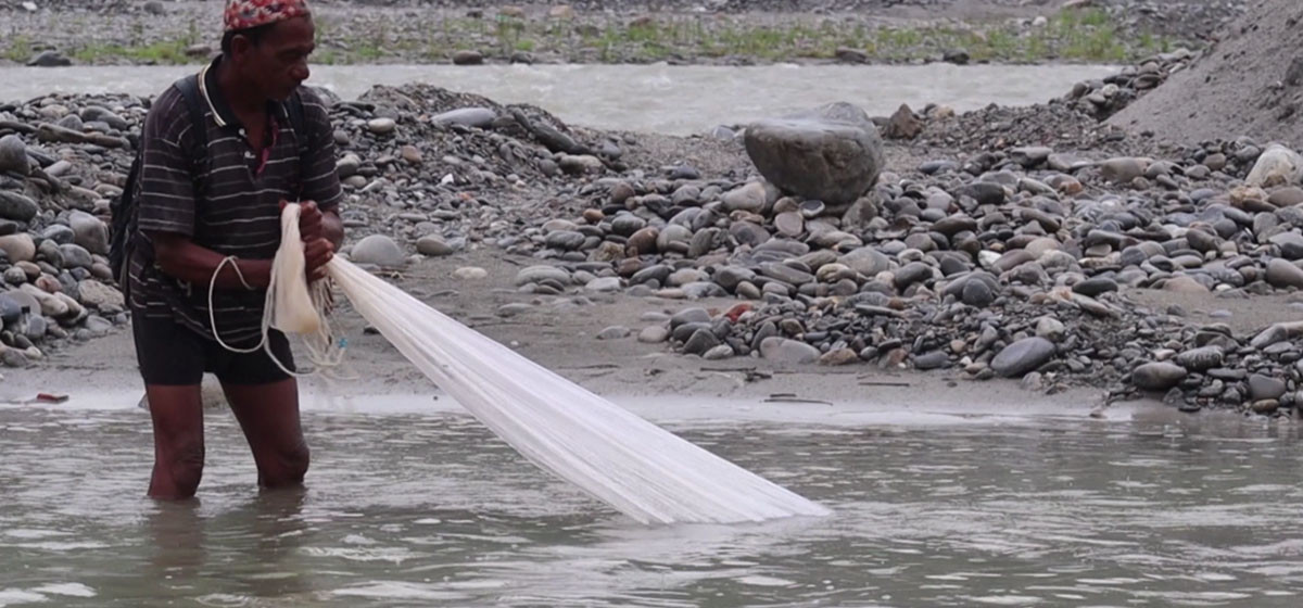 बिलाउँदै माछा-हराउँदै पेसा