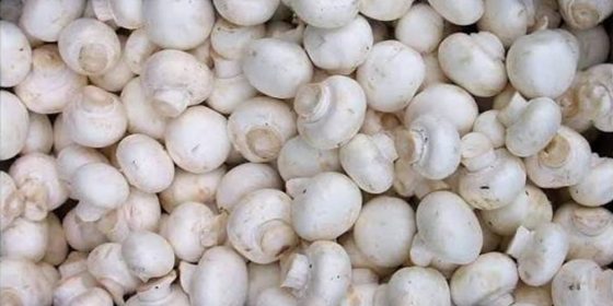 किलोमै १६१ रुपैयाँले बढ्दा कति पुग्यो च्याउको भाउ ?