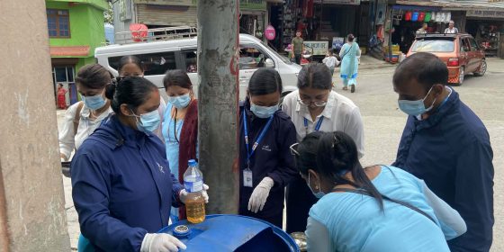 चौतारामा  डेंगी फैलावट रोक्न ‘खोज र नष्ट गर अभियान’